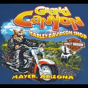 Harley Davidson Grand Canyon T-Shirt Blue Size L.